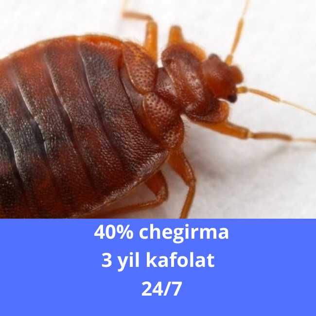 Дезинфекция Dezinfeksiya Уничтожение тараканов клопов Дезинфекция