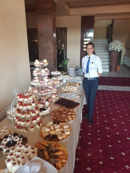 Fantana de ciocolata cu sau fara bar de fructe