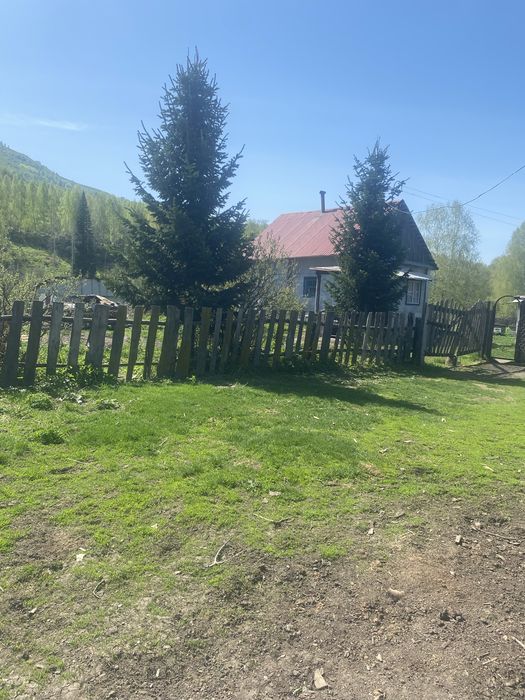 Продам крестьянское хозяйство!