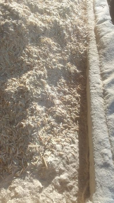 ОТХОДЫ Отруби зерноотходы Полова Овес