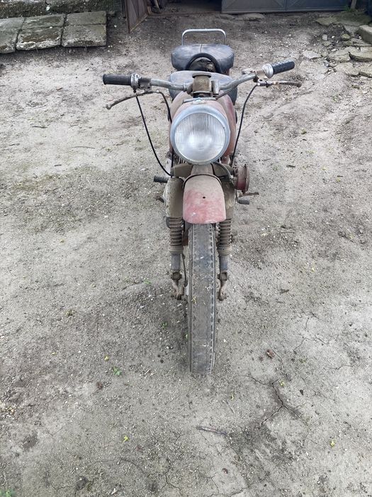 MZ de 2, 5 nepornita de multi ani
