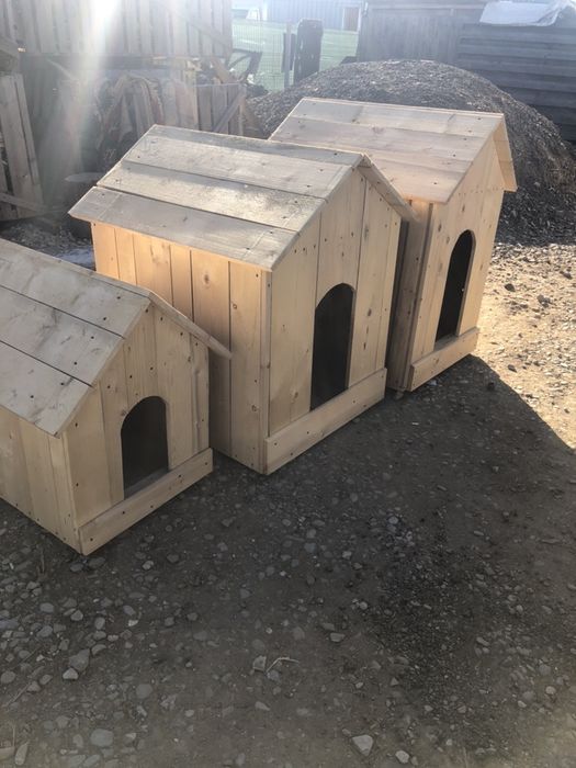 Tamplarie : Foisoare ,Mobilier de  gradina ,Cotet de caine ,Leagan