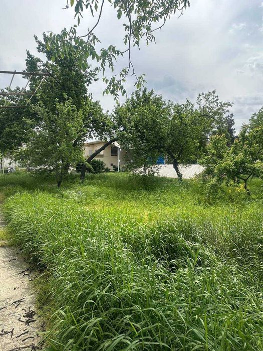 Продается ДАЧА Для себя или готовый бизнес!