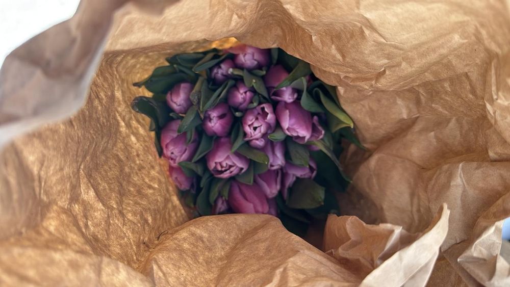 Оптом тюльпан есть