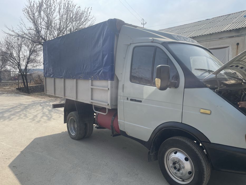 Gazel sotiladi yili 1998