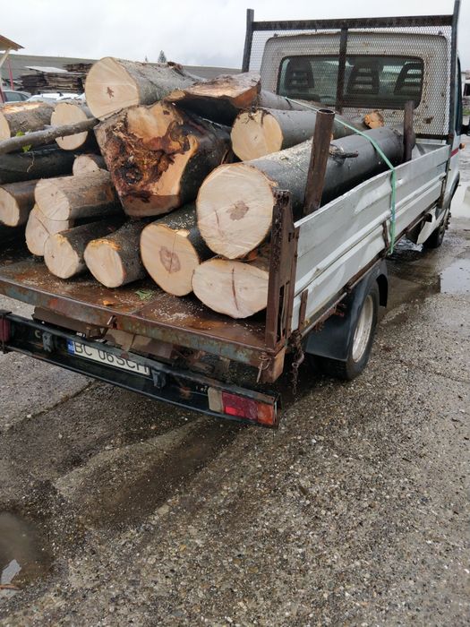 Lemn foc - bustean - USCAT sau VERDE