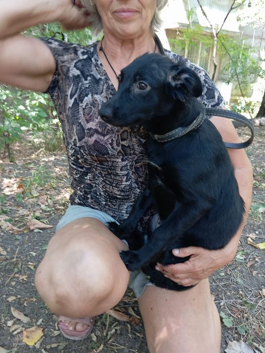 Звоночек Стерильная девочка