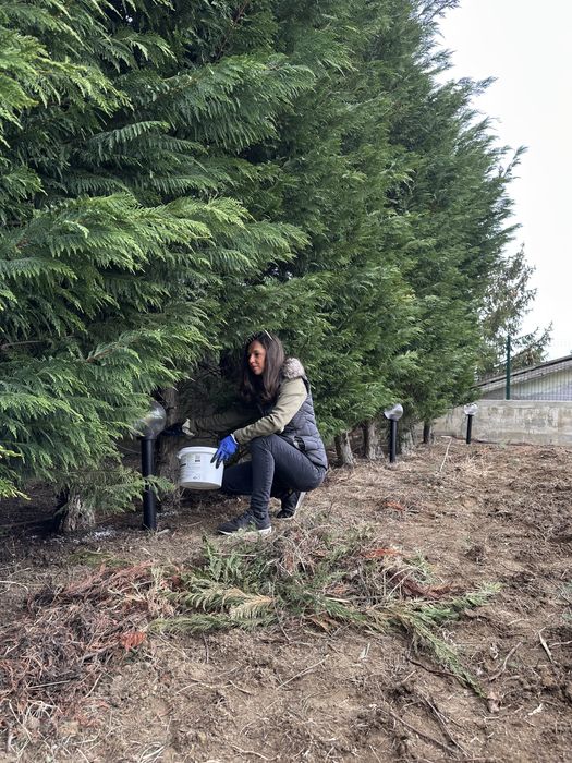 Косене на високи и ниски треви, поддръжка на градини, изграждане