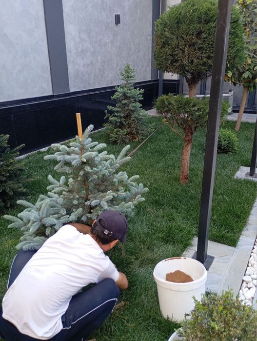 Yevro gazon sifatli va arzon