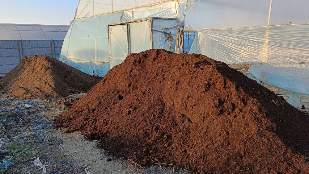 Пори нури гунг куй молдики