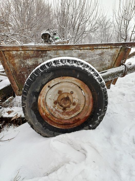 Арба ат арба телешка