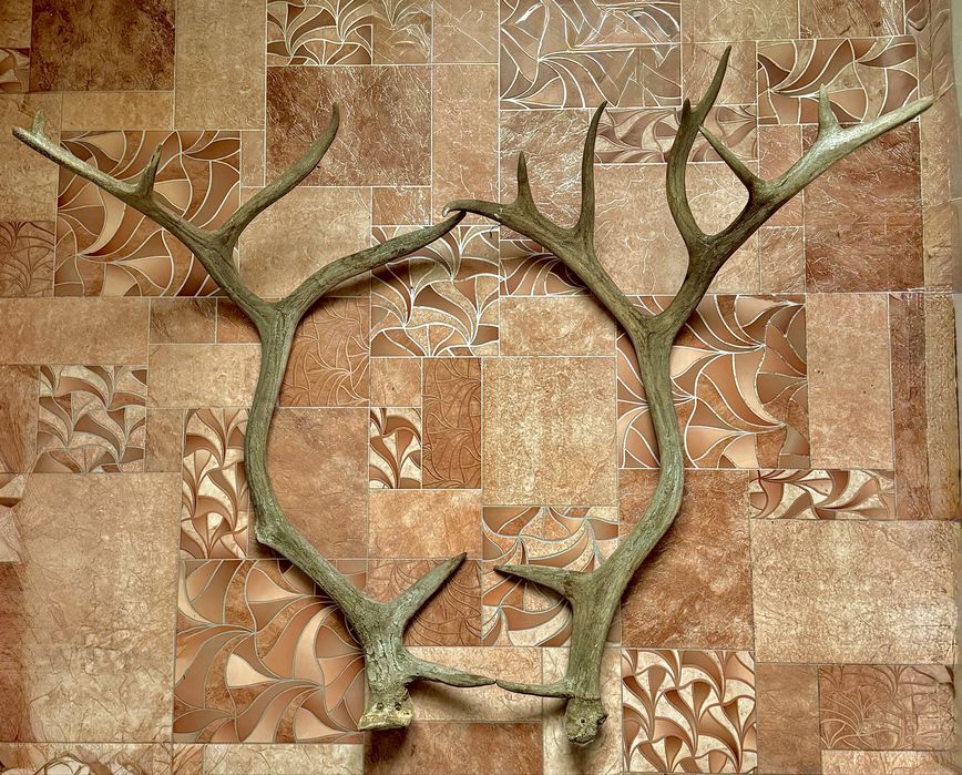 Оленьи рога (СССР).