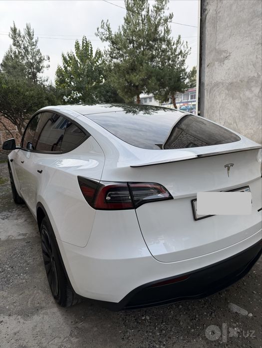 Tesla model Y. RWD .
