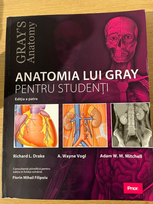 Atlas Grey’s Anatomy nou, nesubliniat