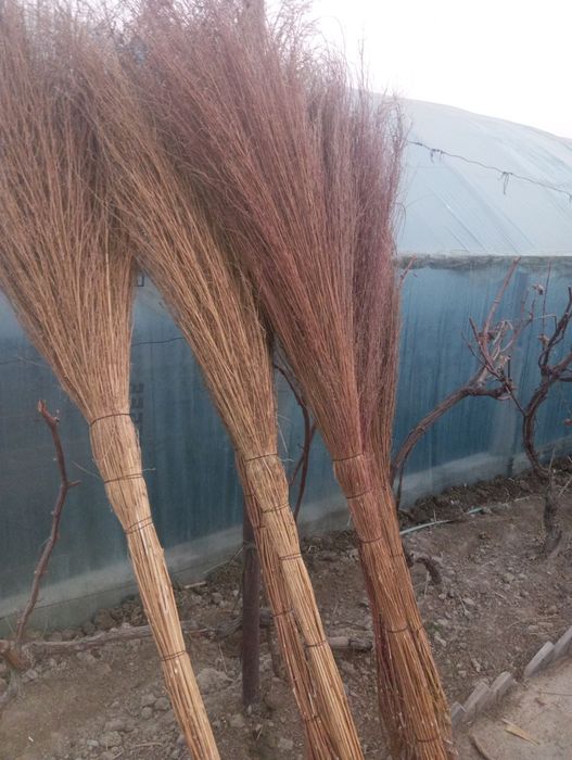 Hovli supurgi katta
