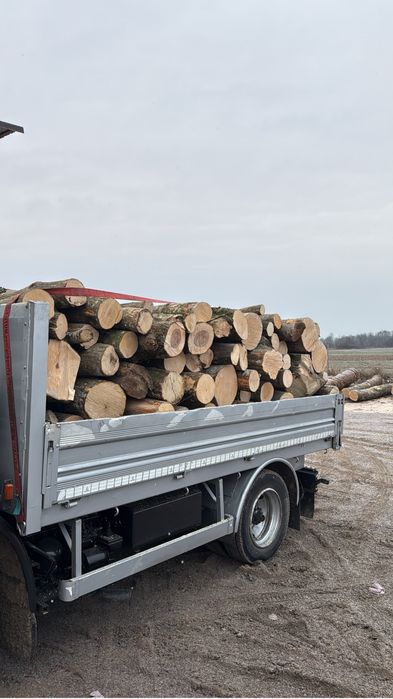 Lemne de ofc esenta tare