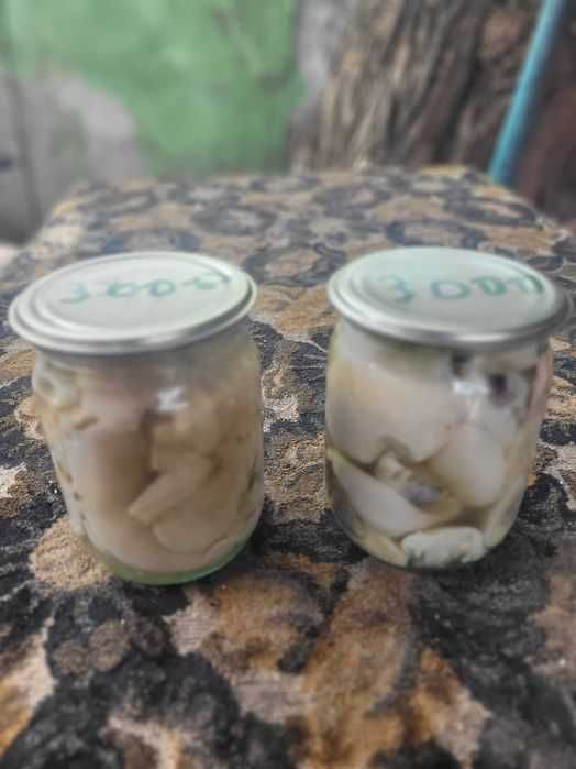 Грибы,маринованные,Синеножка