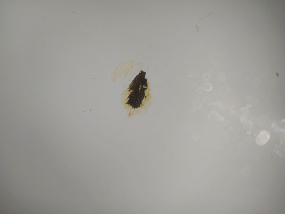 Ванна металлическая