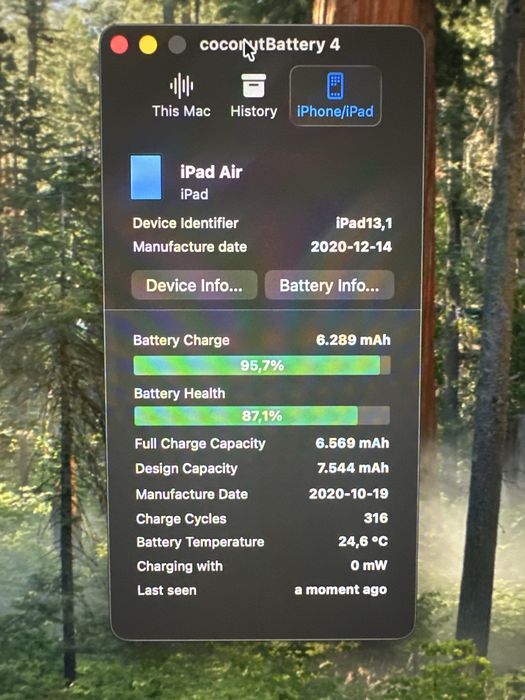 iPad Air (4th generation 256GB)