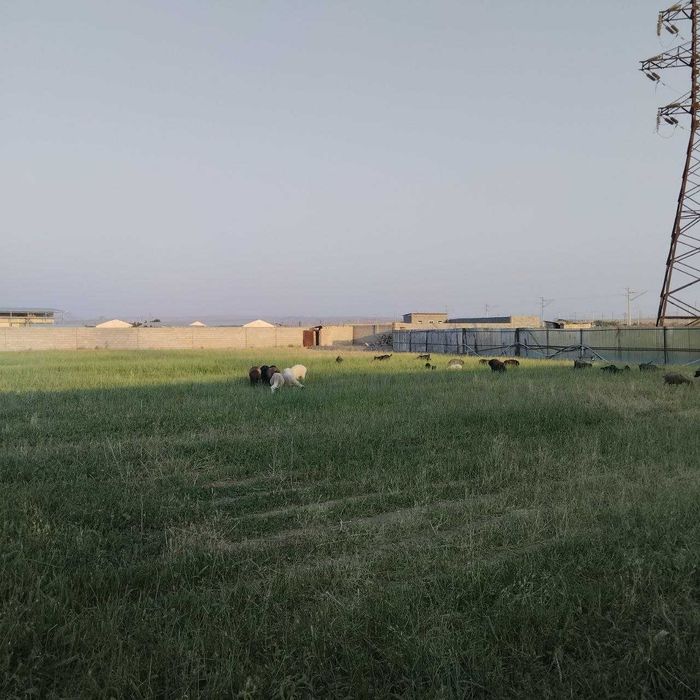 60 сутиклик Ер жой сотилади