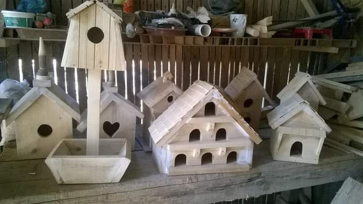 Căsuțe pentru păsări