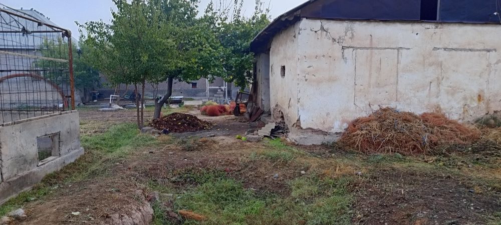 10 суток жой сотилади нархи келишилган холда