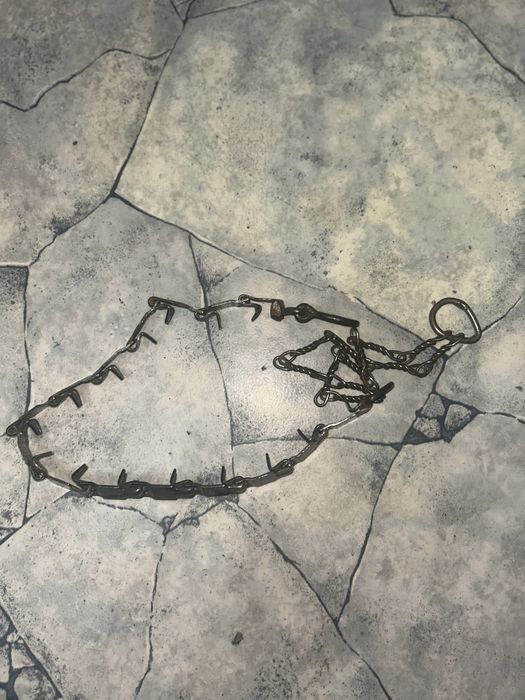 Строгий ошейник для собаки