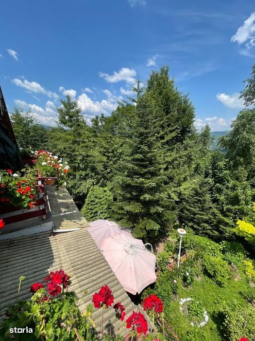 Vila 5 camere | Teren 3155 mp | Breaza - Comarnic | Gura Beliei
