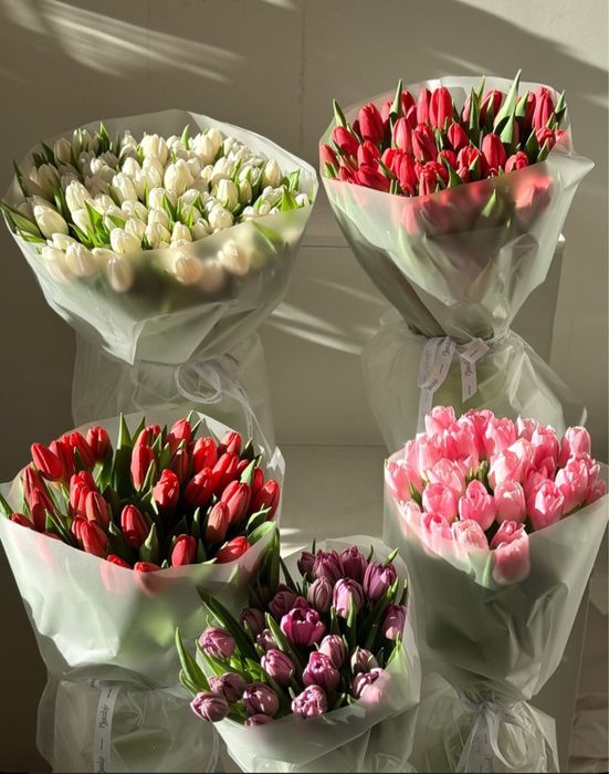 Тюльпаны ОПТОМ и в розницу
