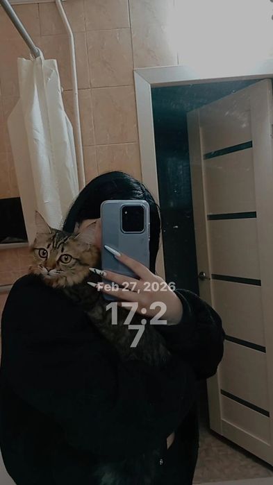 Маленькая кошечка