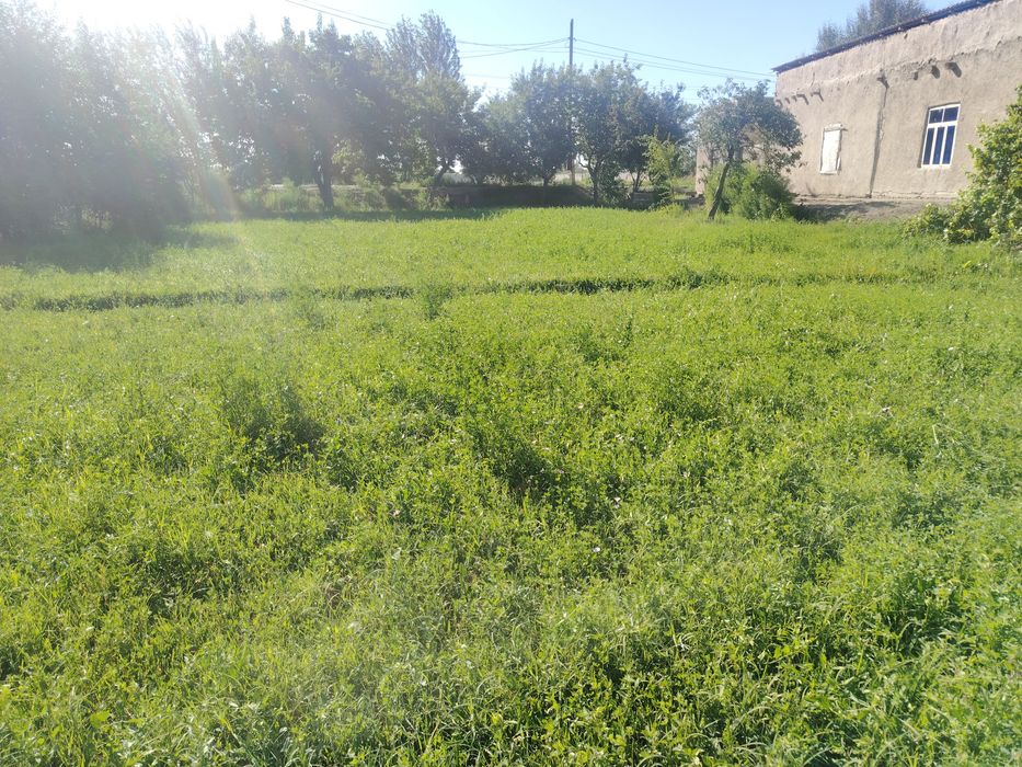 Yer uchaskalik sotiladi