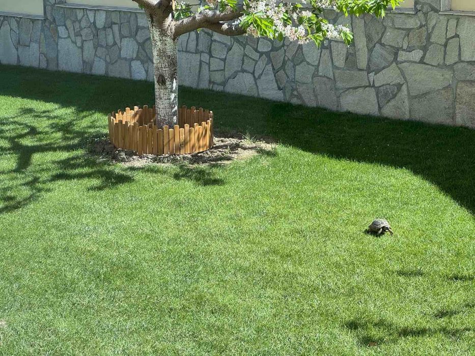 Дървена ограда(декоративна оградка) ролка