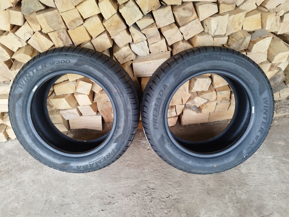 Cauciucuri Promeda M+S_205/60/R16_2 bucăți