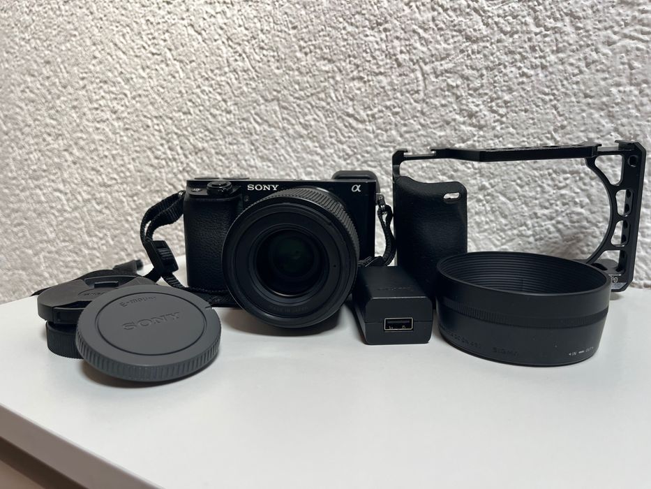 Sony a6100 + Sigma 30mm F 1.4 DC DN