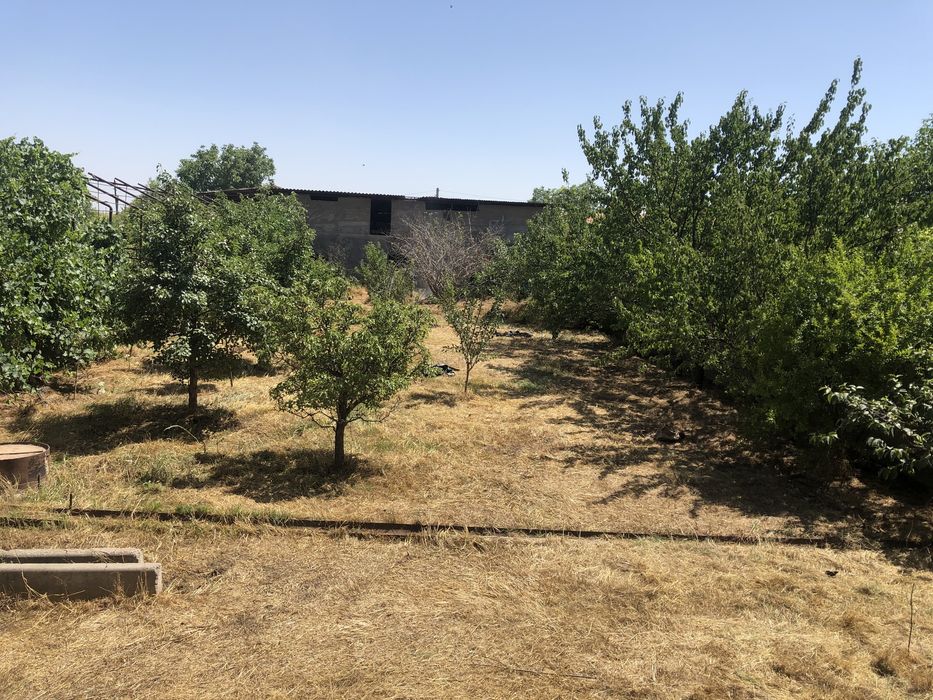 Участок коробка свой есть возможность разделит на два участка