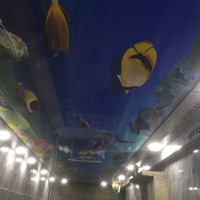 Натежное потолки Natejnoe potolki Натяжные потолок Natejnie potolki..!