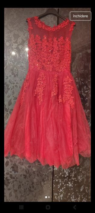 Rochita brodata manual