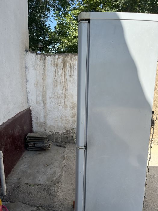 Холодильник брюсия
