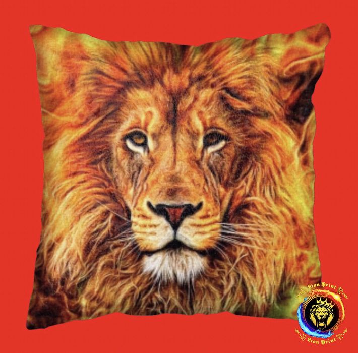 Изготовление Подушек с Любым Фото или Принтом, на Заказ.