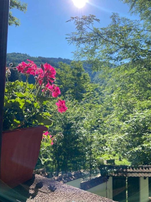 Къща в Ловеч, област-гр.Троян площ 112 цена 220000