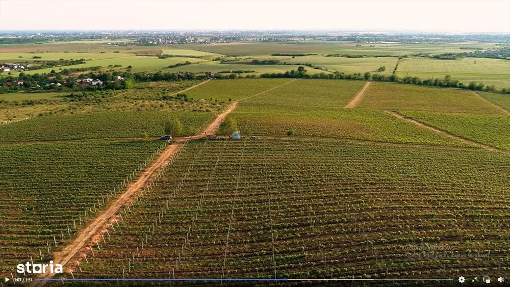 Vie Vanzare Podgoria Dealu-Mare, Boldesti-Scaeni, Prahova - 15,39 ha