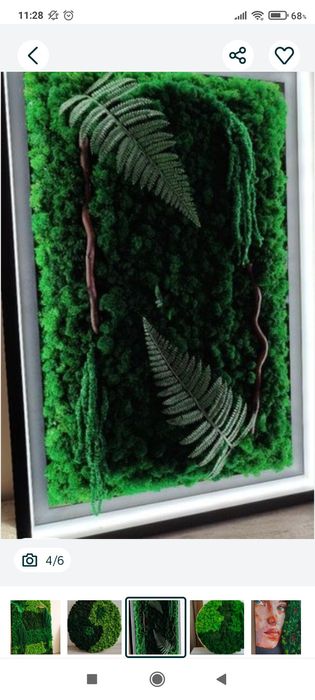 Озеленение стабилизированным мхом