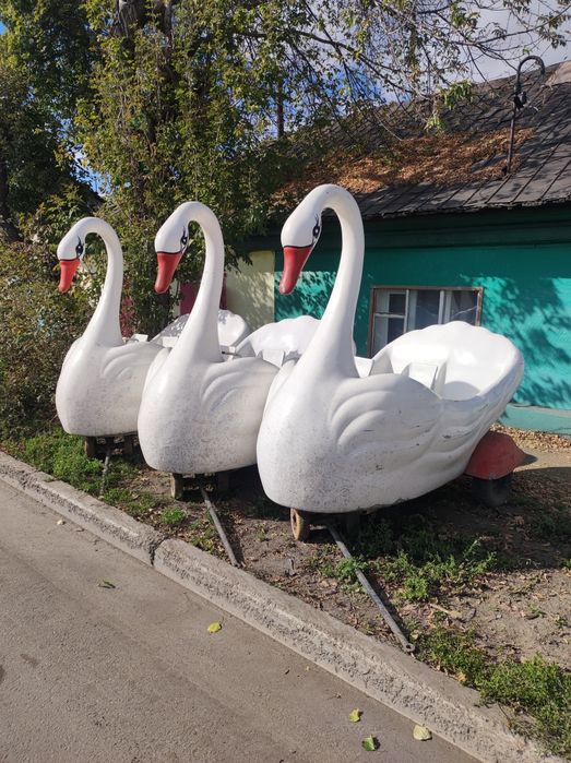 Три белых лебедя