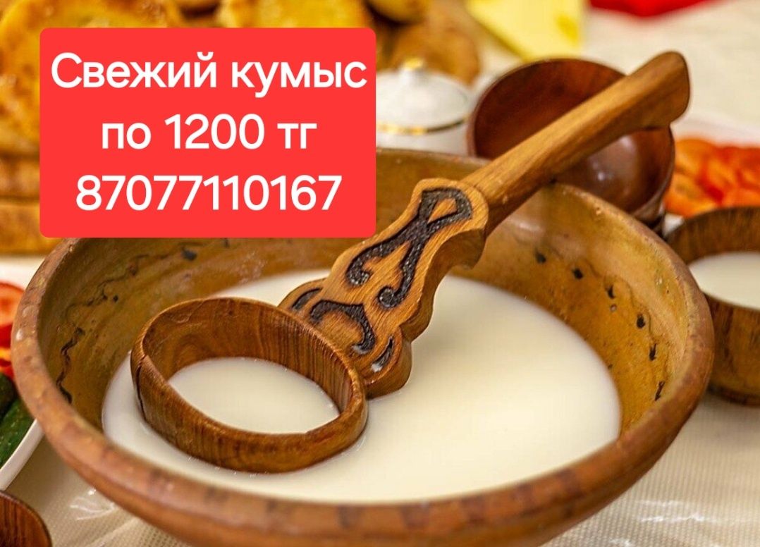 Кумыс кумыз кымыз қымыз: 1 200 тг. - Продукты питания / напитки Павлодар на  Olx