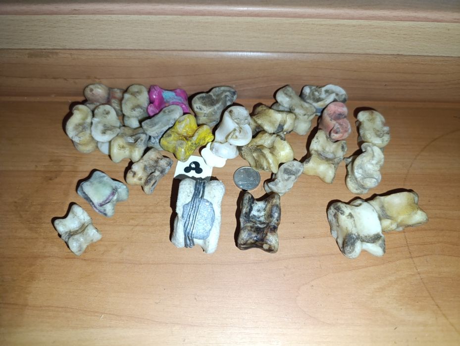 Продаю АСЫҚ город жанатас