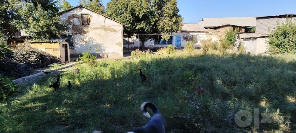 40 sotix hovli uy sotiladi