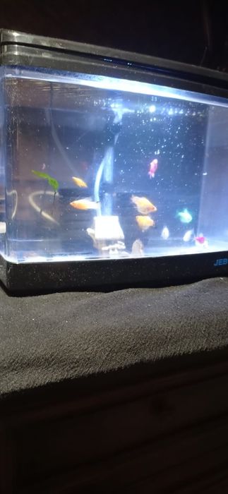 Заводской аквариум 15 литров