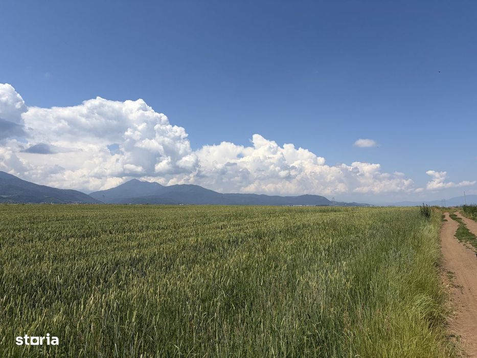 Teren extravilan de vanzare - 4300 mp - Tarlungeni, Brasov