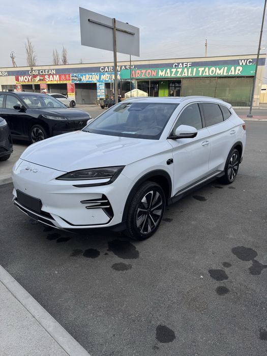 Bud song champion smart/ 2600km пробег