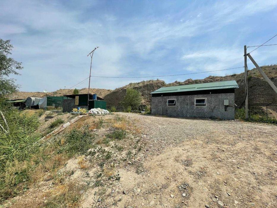 Готовый Бизнес (Рыбное Хозяйство)